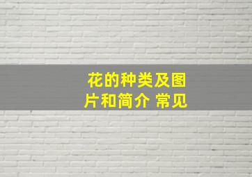 花的种类及图片和简介 常见